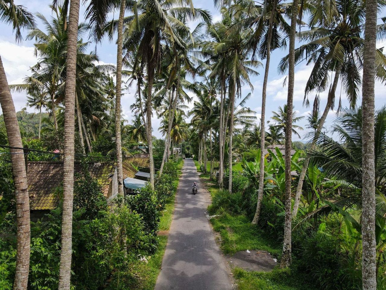 Padang Linjong, Canggu